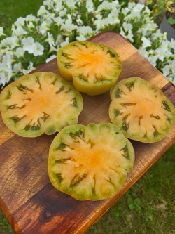 Томат-гном Совершенный