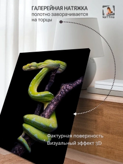 Картина "Зеленый питон", галерейная 50х70см 1шт.