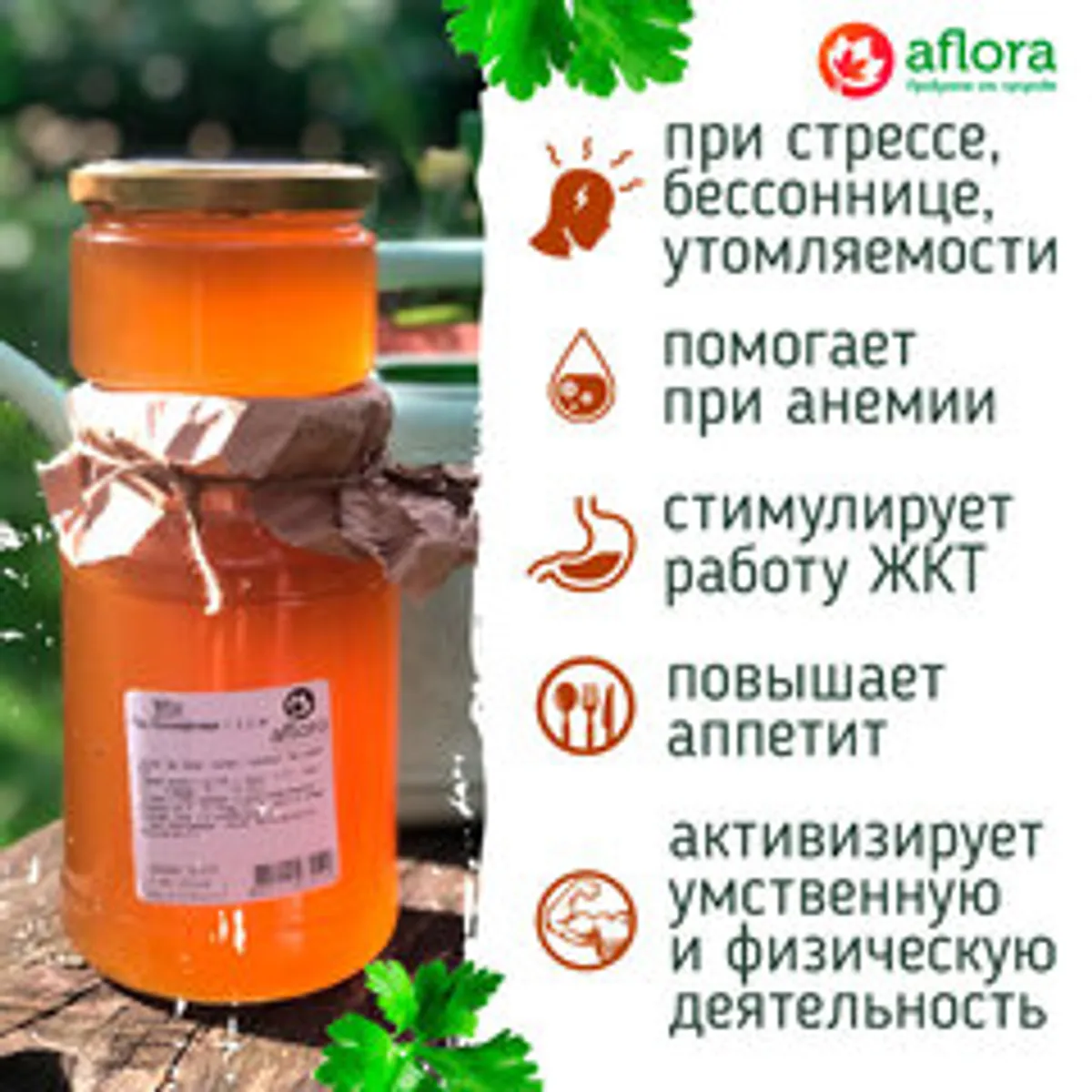Мед Кориандровый с гречихой и травами / 300 гр