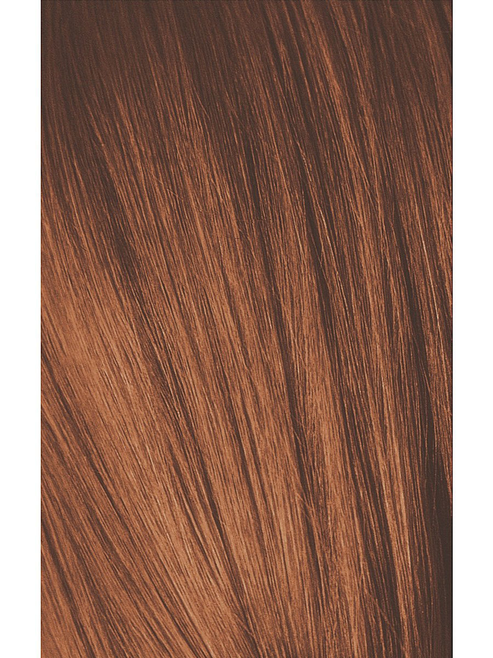 Краска для волос Igora Absolute 7-70 Средний русый медный натуральный Schwarzkopf Professional, 60 мл