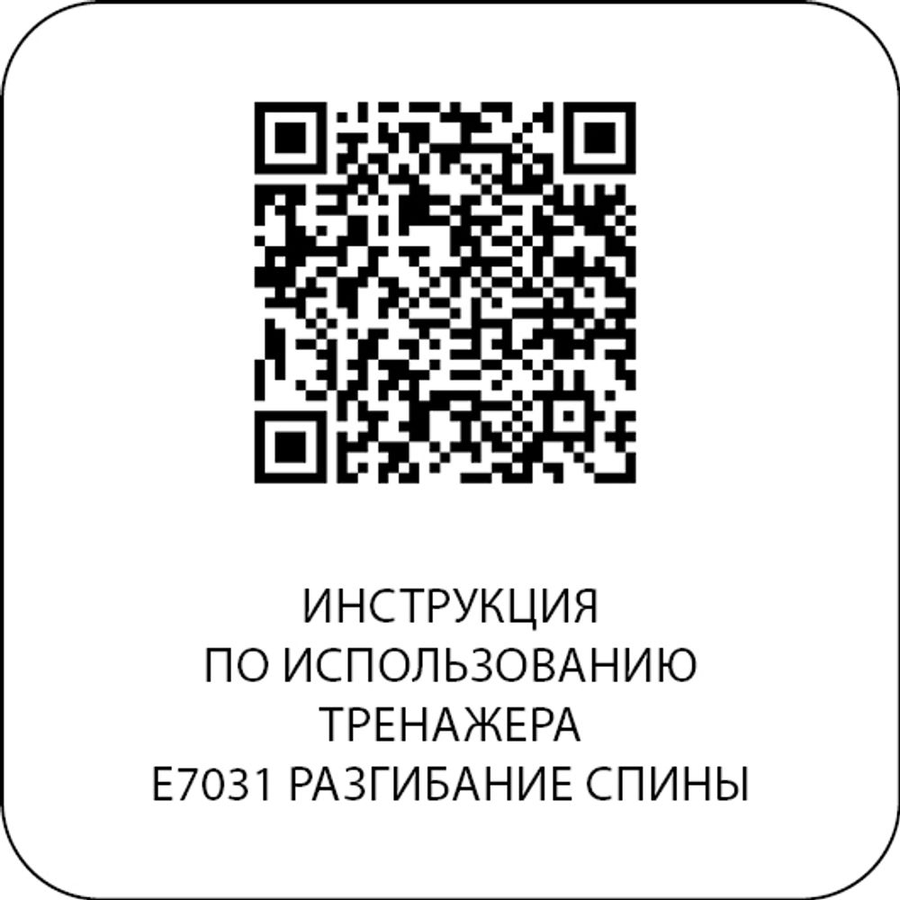 E7031JZ Разгибание спины. Стек 135 кг