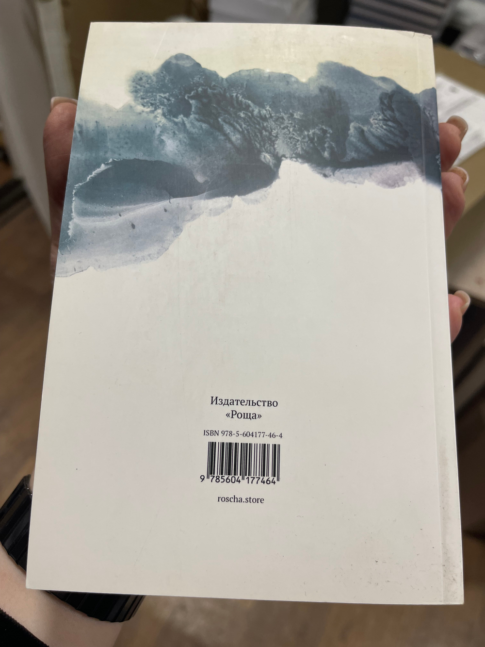 Пойди туда, не знаю куда. Книга первая. УЦЕНКА Ученик Колдуна. Роман в сказках. А.Шевцов