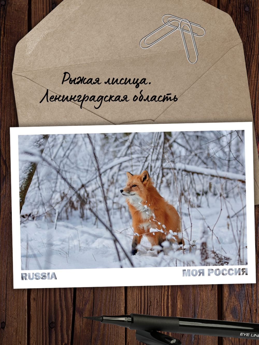 Моя Россия. Зима (выпуск №3, 2023/2024)