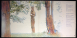 Mary Hopkin ‎– Earth Song / Ocean Song (Англия 1971г.) Т