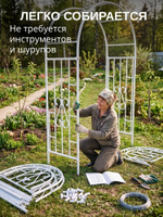 Арка садовая "Монрепо" 220 х 160 х 66 см.