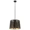 Подвесной светильник Celesta A2769SP-1BK Arte Lamp