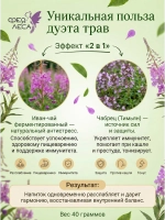 Иван-чай (кипрей) с тимьяном (чабрецом)