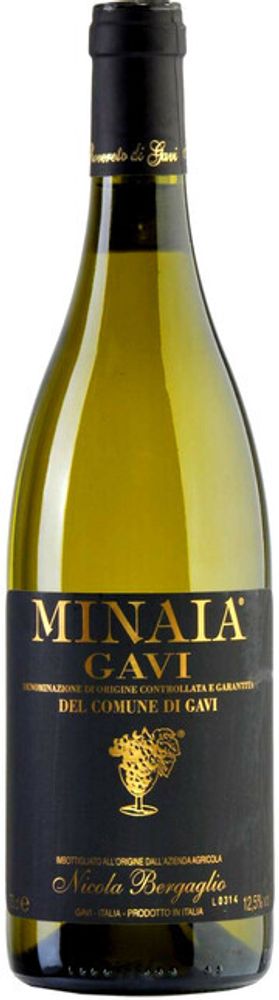 Nicola Bergaglio, Gavi del comune di Minaia
