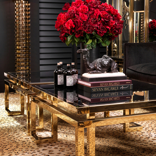 Журнальный столик Coffee Table Palmer арт.109992