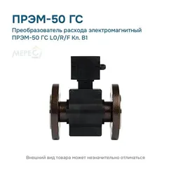 Преобразователь расхода электромагнитный ПРЭМ-50 ГС L0/R/F Кл. B1