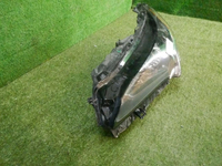 DSCN6517.jpg