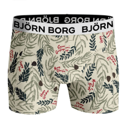 Мужские спортивные боксеры Björn Borg Core Boxer 2P - green/print