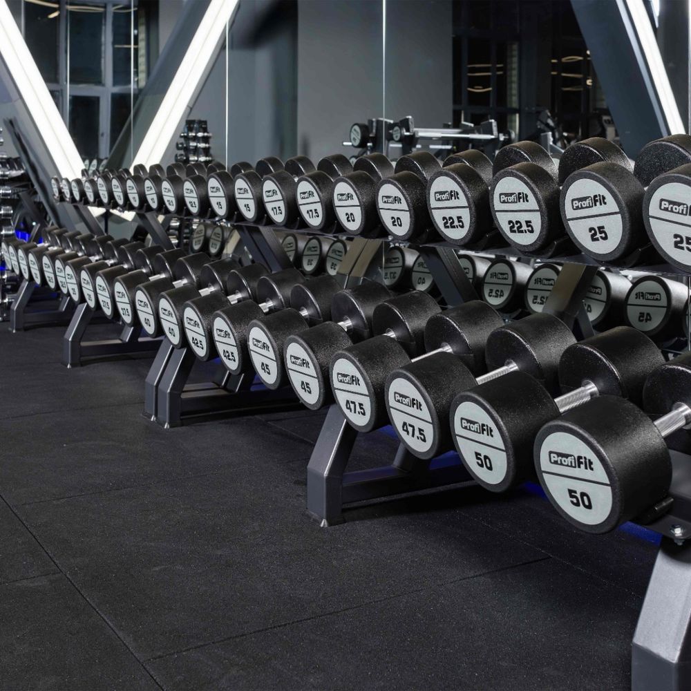 Гантель полиуретановая PROFI-FIT 55 кг