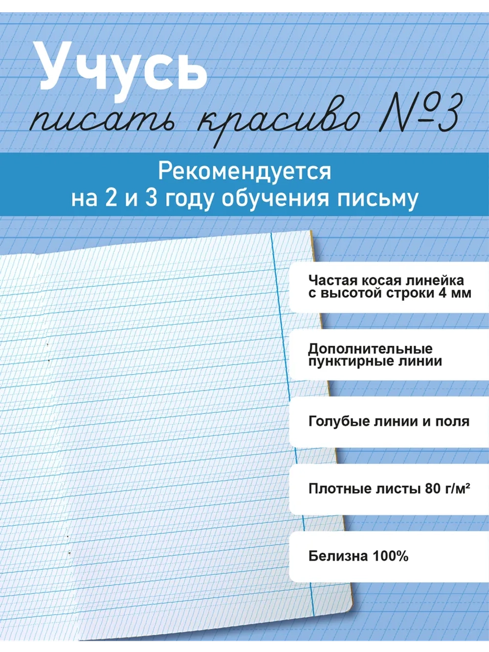 Набор тетрадей "Учусь писать красиво!", 12 л, 10 шт (плёнка)