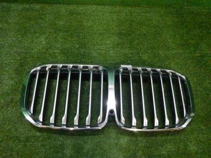 Решетка радиатора BMW X7 G07 (2019-2022)