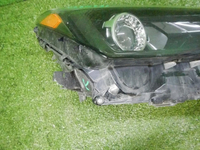 DSCN7994.JPG