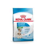 Royal Canin Mini Starter Мини Стартер Корм сухой для собак мелких пород в конце беременности в период лактации для щенков до 2-х месяцев 1кг