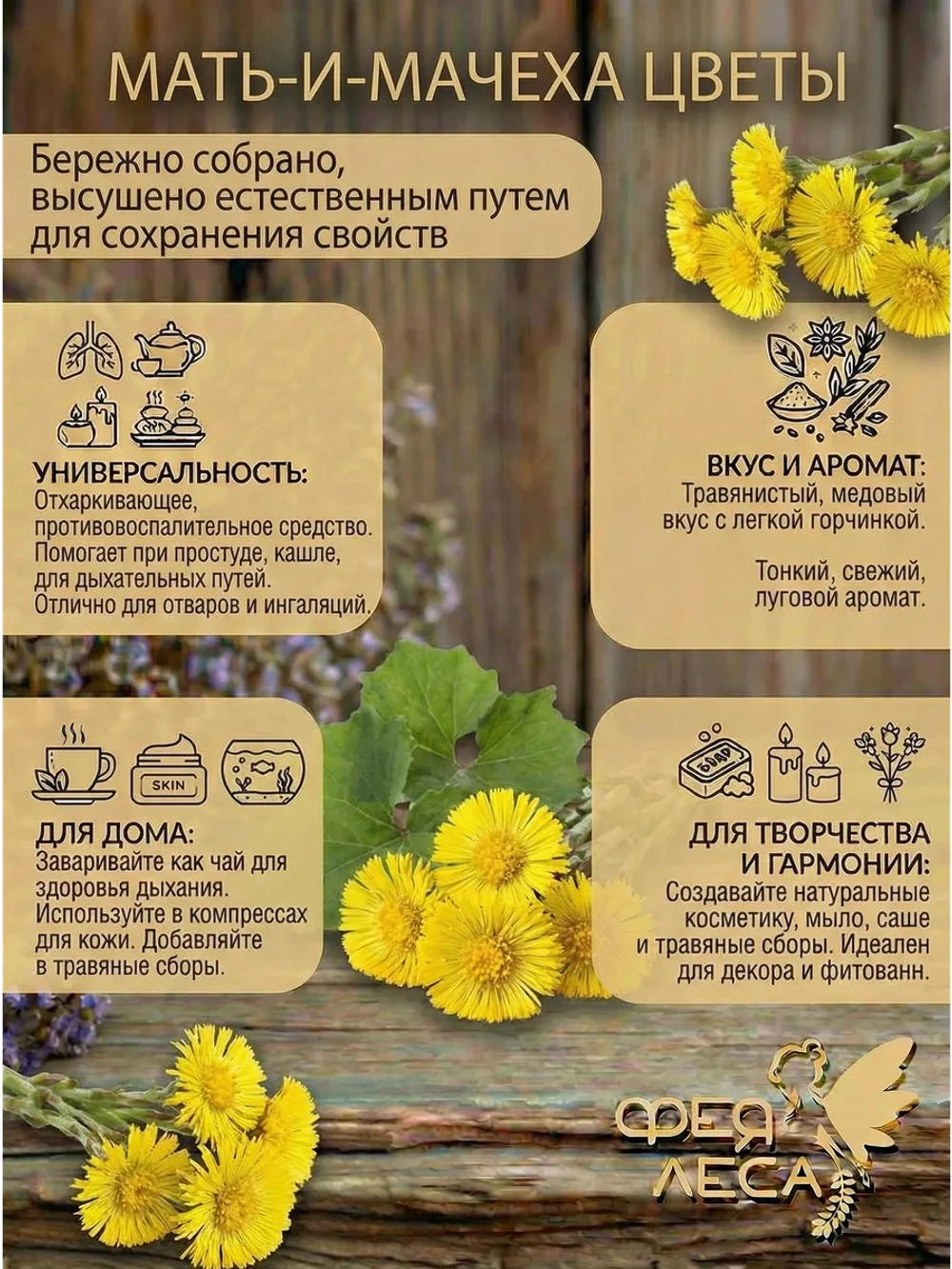 Мать-и-мачеха цветы для здоровья и творчества