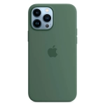 Силиконовый чехол с поддержкой MagSafe Apple Silicone Case для iPhone 13 Pro, Eucalyptus (Эвкалипт)