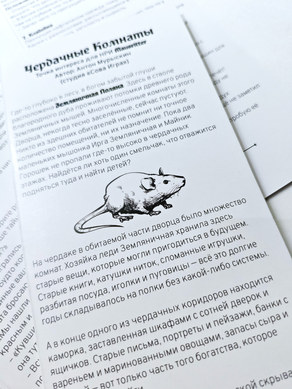 Чердачные комнаты Mausritter
