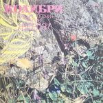 Бердз / Колибри — Лучшие Песни Группы Бердз (LP)
