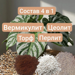 Авторский грунт для Оксалиса 1 литр