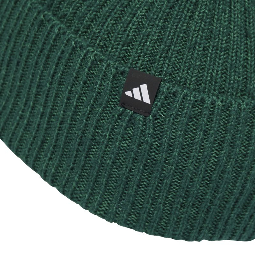 Шапка зимняя Adidas Mountain Beanie - court green