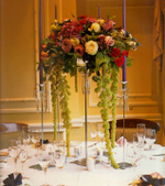 Wedding Flowers by Paula Pryke