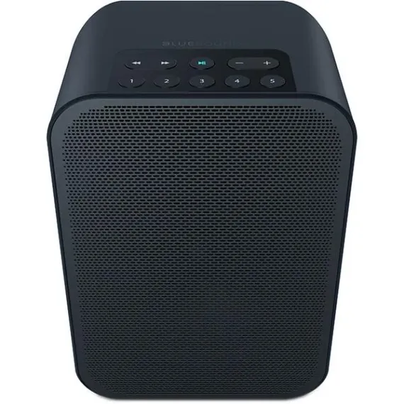Bluesound Pulse Flex 2i Black