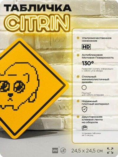 Табличка с мемом "Пиксельный грустный хомяк" шуточная прикольная на дверь и стену, для офиса и дома, декоративный знак, 24,5х24,5 см, пластиковая, Айдентика Технолоджи