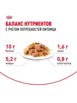 AGEING 12+ Корм для кошек в желе 85г*28шт