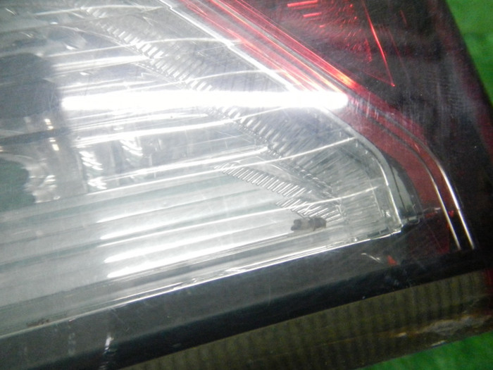 DSCN6464.JPG