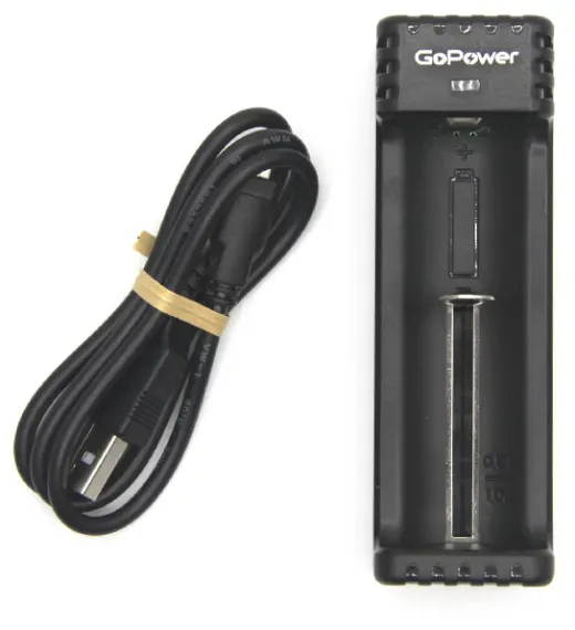 Зарядное устройство GoPower LiCharger 1000 мА