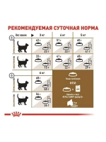 Royal Canin Ageing 12+ (Роял Канин Агейн) сухой корм для кошек 2кг