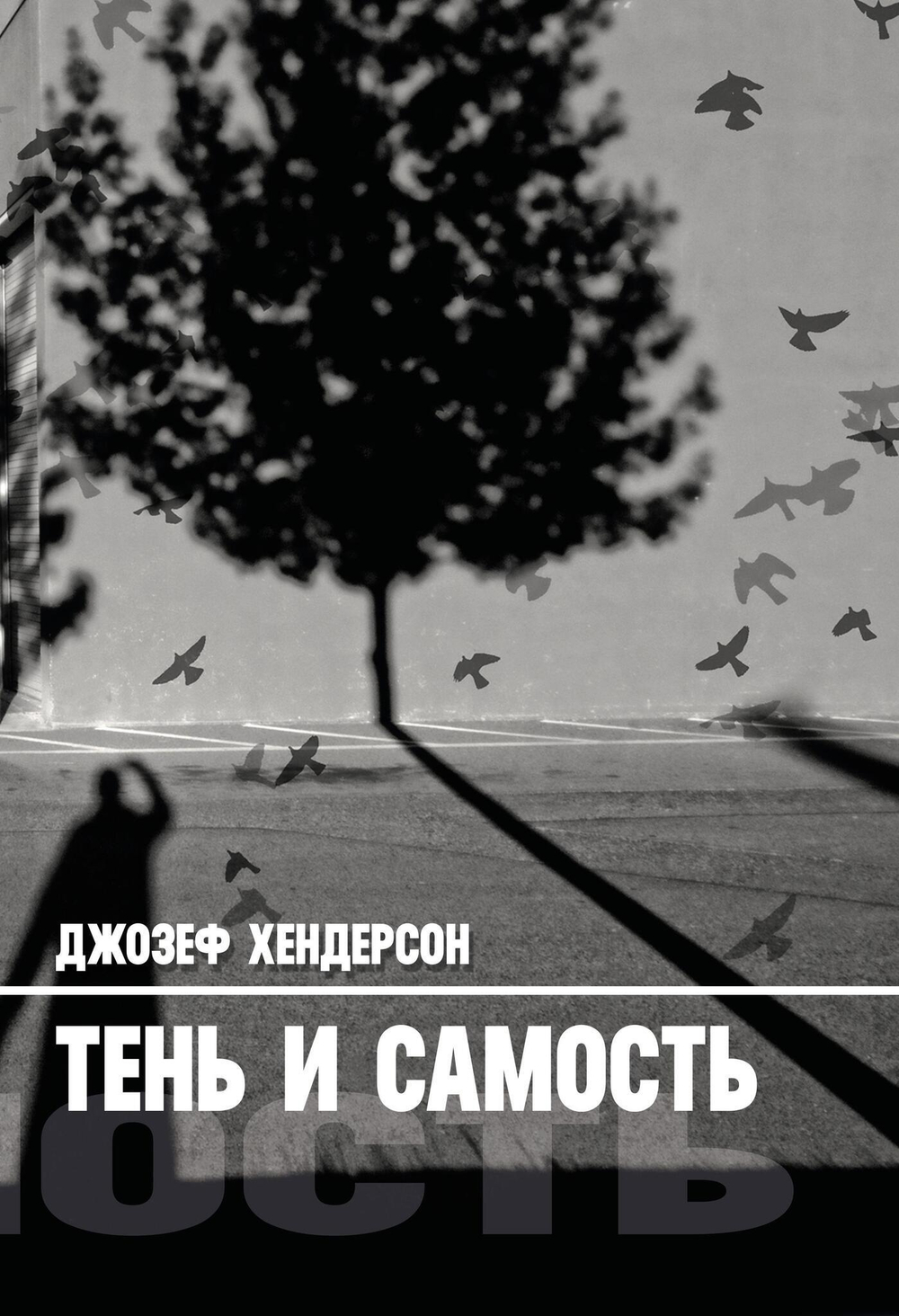 Тень и Самость. Цифровая версия