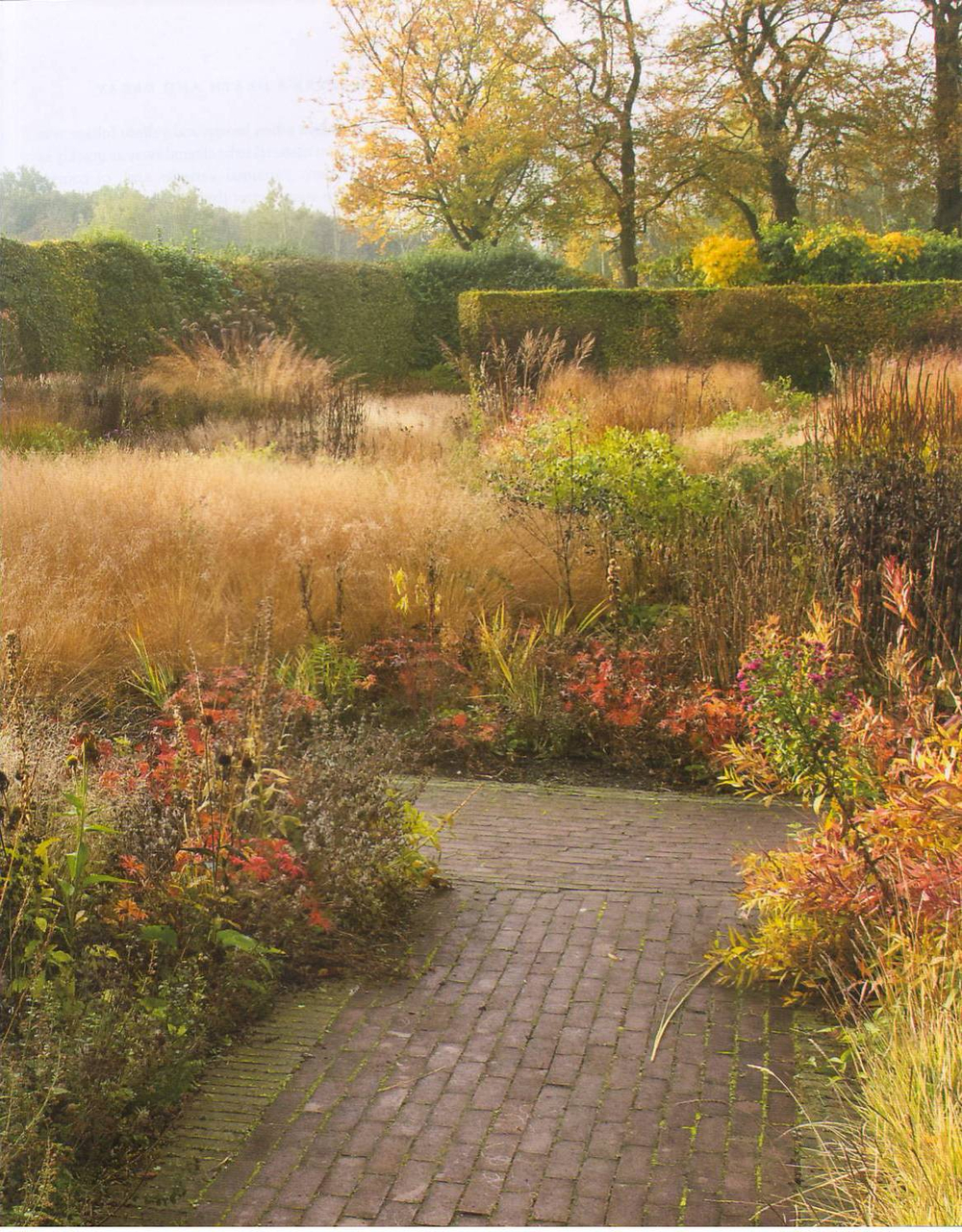 Planting: A New Perspective