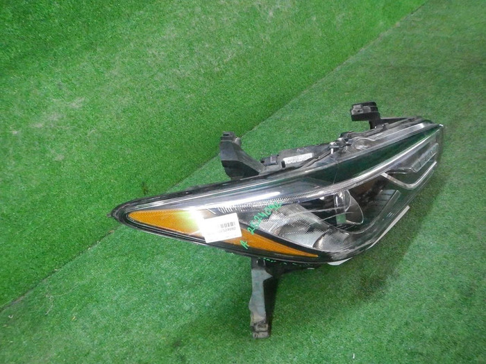 DSCN7920.JPG