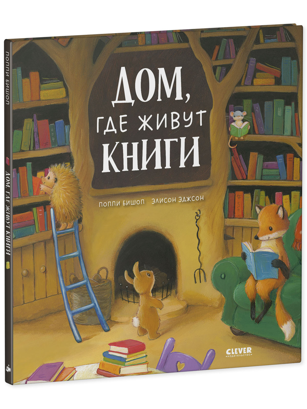 Книжки-картинки. Дом, где живут книги