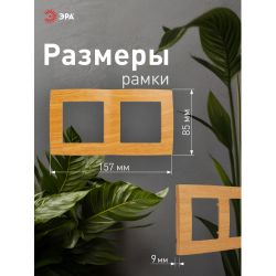12-5002-07 ЭРА Рамка на 2 поста, Эра12, ольха | Эра 12
