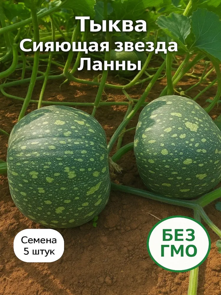 Тыква Сияющая звезда Ланны семена 5 штук