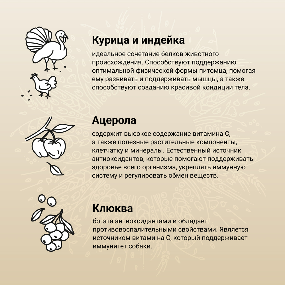 Сухой корм CRAFTIA NATURA для взрослых собак средних и крупных пород из курицы и индейки 10 кг