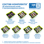 Природные богатства России с РобоМышью (4 робомыши, без системы хранения) Learning Resources MS0104