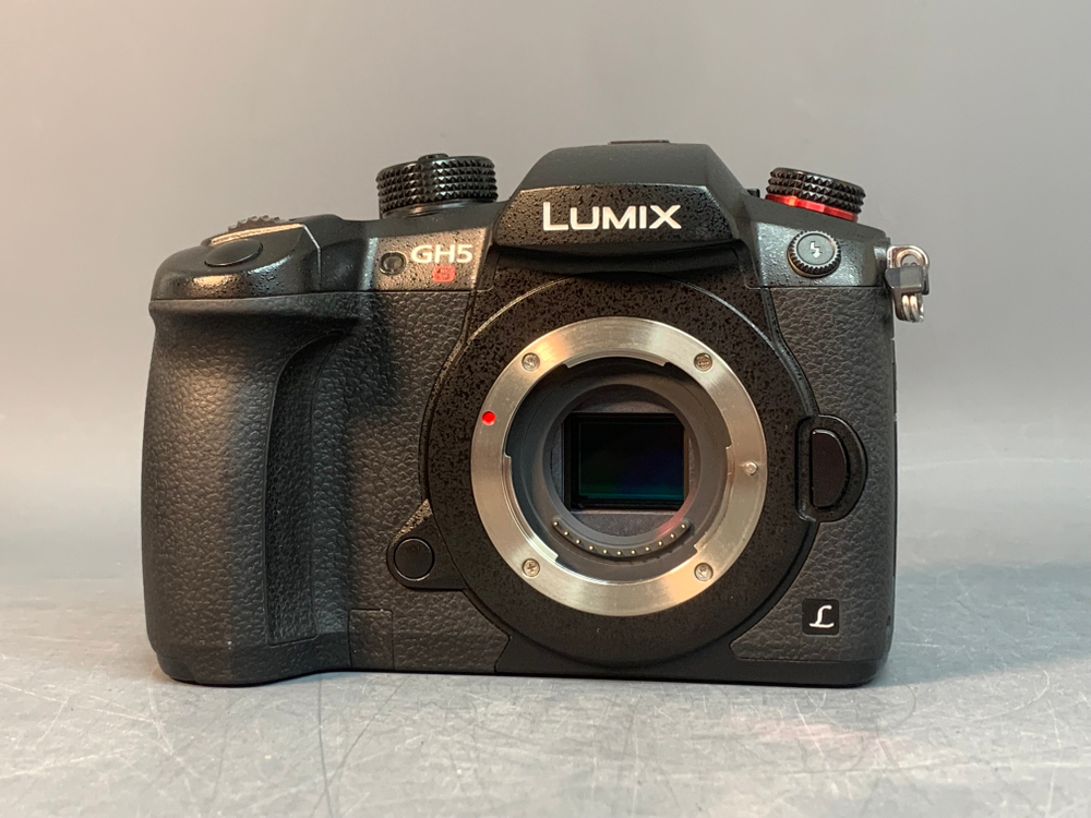 Panasonic Lumix GH5S 4.025 кадров
