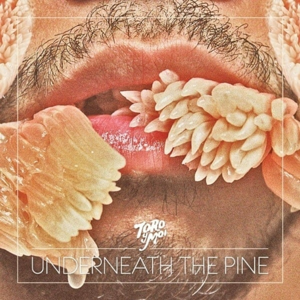 Toro Y Moi Underneath The Pine