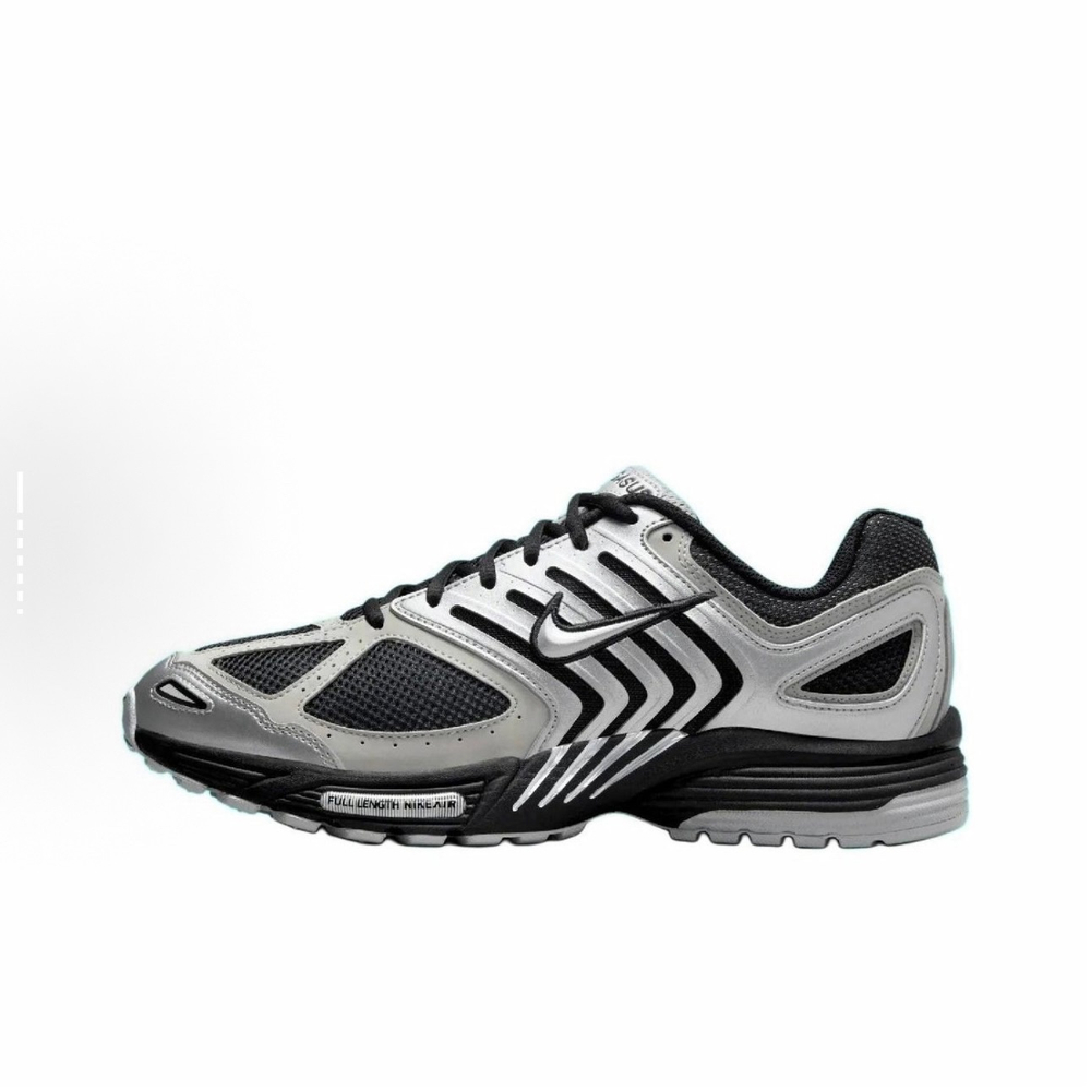 Кроссовки Nike Air Pegasus 2K5 "Metallic Silver"