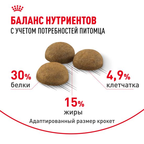 Royal Canin Indoor Long Hair для домашних кошек длинношерстных пород