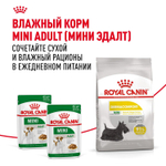 Royal Canin Mini Dermacomfort Мини Дермакомфорт Корм сухой для взрослых собак мелких пород для профилактики раздражения и зуда кожи 3кг