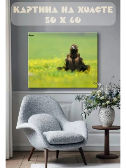 Картина на стену 40 X 50 Хищная птица