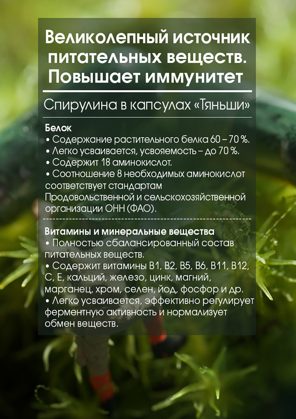 БАД к пищи "Спирулина в капсулах "Тяньши" (капсулы массой 250 мг)