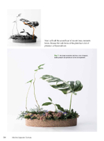 Modern Japanese Ikebana: Elegant Flower Arrangements for Your Home